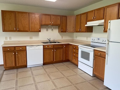 316 2nd St NE, Bertha, MN 56437 - photo 6