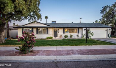 Yucca St-38