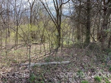 000 Twin Oaks Rd, Statesville, NC 28625 - photo 2