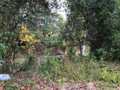 10102 Briar Dr, Houston, TX 77042 - photo 7