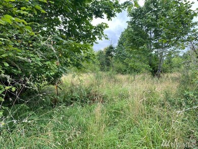 1 Hinkley Rd, Toledo, WA 98591 - photo 3