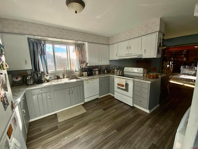 21 Vulcan St, Gunnison, CO 81230 - photo 5