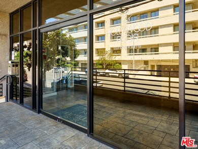Hollywood Regis Condominiums unit 222, Los Angeles, CA 90046 - photo 6