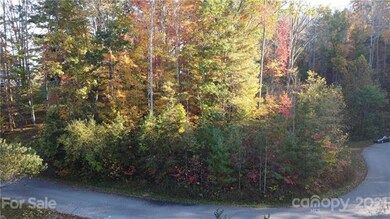 12 Forest Spring Dr unit 36, Asheville, NC 28804 - photo 3