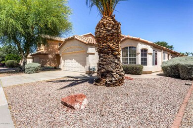 1122 W Bluebird Drive Chandler-large-002