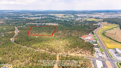 1400 S 11th St, Show Low, AZ 85901 - photo 5