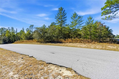 0 SW 178th Terrace unit MFRTB8455648, Dunnellon, FL 34432 - photo 7