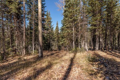 214 East Deer Trail C147 Brain Head UT 8