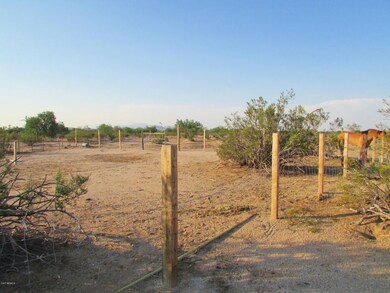 6_Lots of Space for Horses