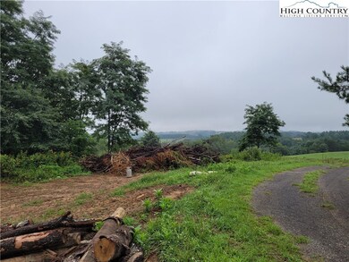 Lot 26 Fox Run Ln unit 26, Sparta, NC 28675 - photo 5