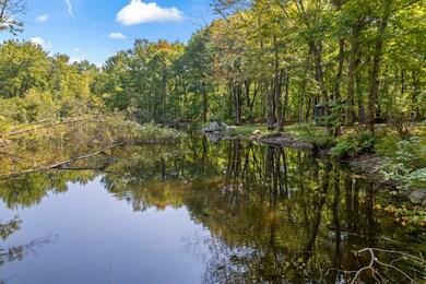 41 Hobbs Rd_122