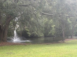 109 Willow Pond Way, Brunswick, GA 31525 - photo 3