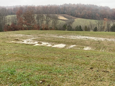 100 Nora Way unit N, Leitchfield, KY 42754 - photo 4