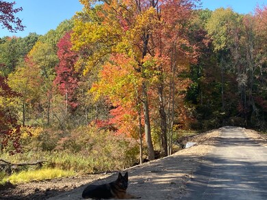 Whitetail Lane Photo 6 2