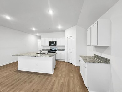 117 E Sunbelt Ct, Mayflower, AR 72106 - photo 3