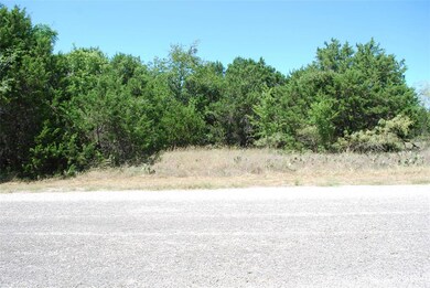 8117 High Mesa Dr, Whitney, TX 76692 - photo 5