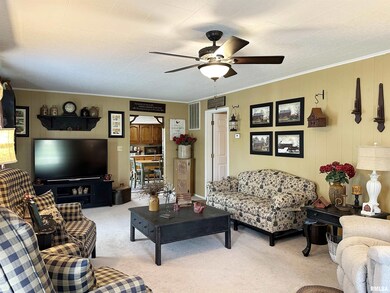 120 Cain Rd, Harrisburg, IL 62946 - photo 7