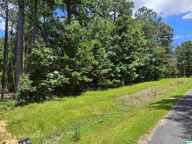 171 Rivercrest Dr unit 5, Vincent, AL 35178 - photo 2