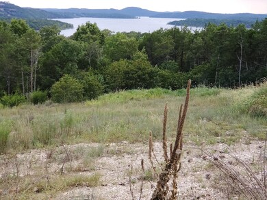 Lot 241 Silver Sunset Ln, Ruth B Rural Township, MO 65686 - photo 5