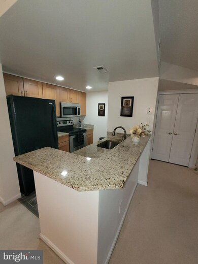 1012 Fallcrest Ct unit 202, Bowie, MD 20721 - photo 5