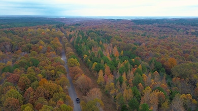 0 Point Mason Rd, Big Sandy, TN 38221 - photo 3