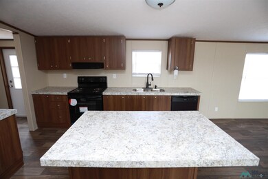 4213 Mimosa St, Carlsbad, NM 88220 - photo 4