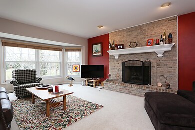 10517 S Red Stable Way, Naperville, IL 60564 - photo 4