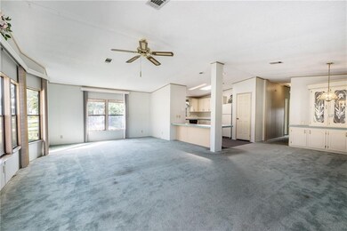 Before Photo