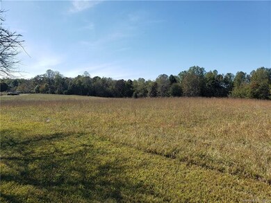 5735 Reepsville Rd, Vale, NC 28168 - photo 5