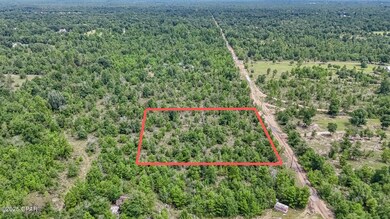 0 Warnock Rd unit 777510, Fountain, FL 32438 - photo 3