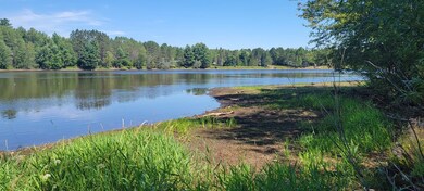 Lot 1 Silver Birch Rd, Tomahawk, WI 54487 - photo 2