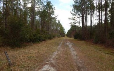 0 Us Hwy 441 Parcel 2a unit 93914, Lake City, FL 32055 - photo 2