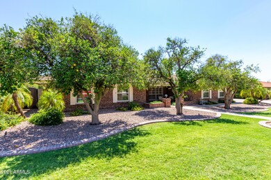 4447 E Fairfield St, Mesa, AZ 85205 - photo 3