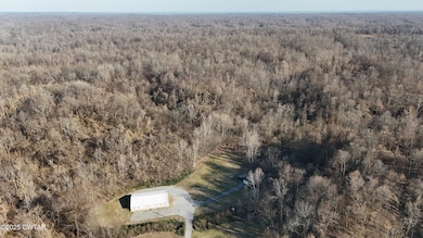 DJI_20250310165721_0329_D