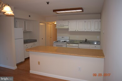 9810 Kingsbridge Dr unit 101, Fairfax, VA 22031 - photo 7