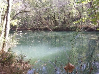 351 Rocky River Rd, Bone Cave, TN 38581 - photo 7