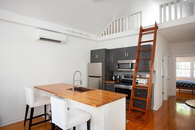 1110 Olivia St Key West FL-large-007-19-