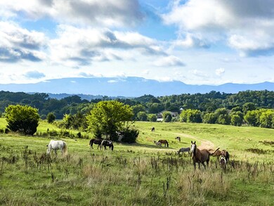 0 Hwy 139 unit RTC2409459, Dandridge, TN 37725 - photo 7