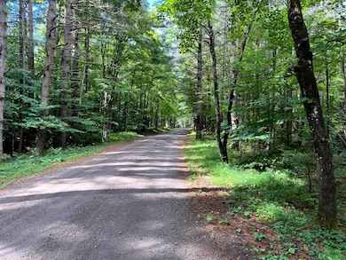 1.6 Farr Rd unit 6, Ohio, NY 13324 - photo 5