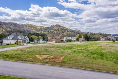 3030 Lee Ridge Rd, Morristown, TN 37814 - photo 3