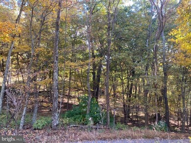 13 High Knob Rd, Old Fields, WV 26845 - photo 3