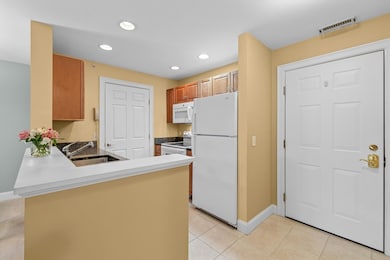 1 Millbrook Ln unit 304, Wakefield, MA 01880 - photo 5