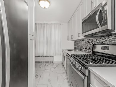 The Raymont unit 4-B, Bronx, NY 10463 - photo 5