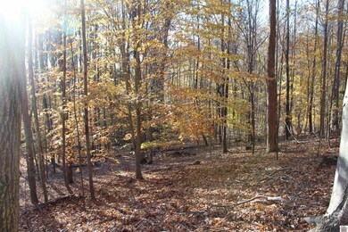 000 Parkersville Rd, Eddyville, KY 42038 - photo 7