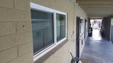 New dual pane windows