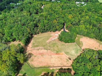Aerial view of a forest