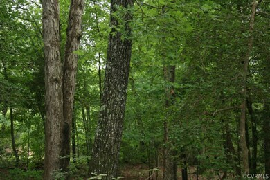 00 Prince George Dr, Prince George, VA 23842 - photo 3