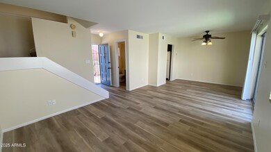 IMG_1334(2)