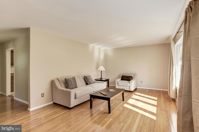 13034 Ingleside Dr, Beltsville, MD 20705 - photo 6