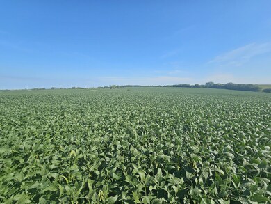 001 160th St, Elmo, MO 64445 - photo 4